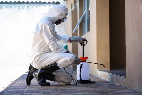 Professional Pest Control Service