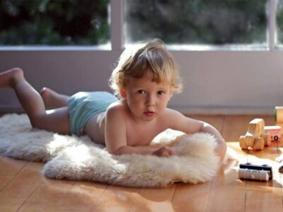 Sheepskin Rugs